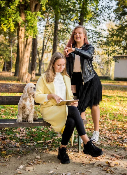 Twee vrolijke vrouwelijke beste vrienden in casual dragen met behulp van tablet in — Stockfoto