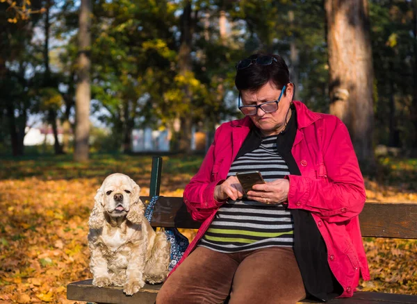 Kvinna med amerikansk spaniel sitter på bänken — Stockfoto