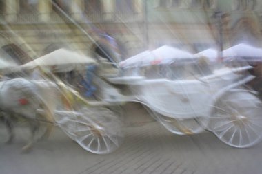 Hareket hâlindeki beyaz at arabası bulanık. Kasıtlı hareket