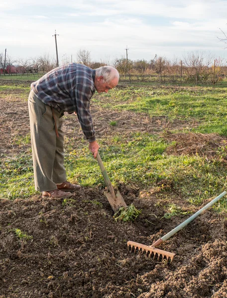 Farmář pracující s hráběmi v zahradě — Stock fotografie