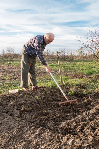 Contadino che lavora con un rastrello in giardino — Foto Stock