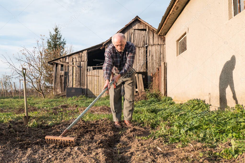 Farmer working with a rake in the garden