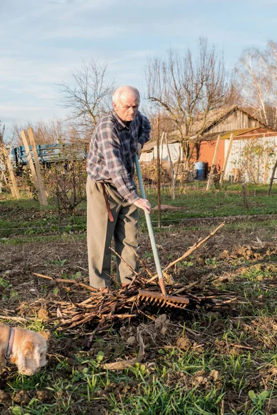 Contadino che lavora con un rastrello in giardino — Foto Stock