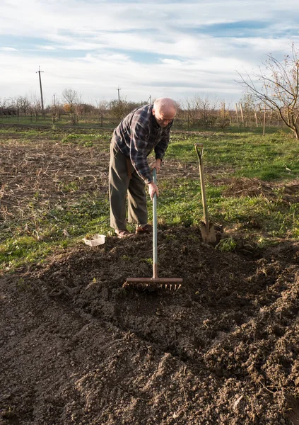 Farmer working with a rake in the garden — Stock Photo, Image