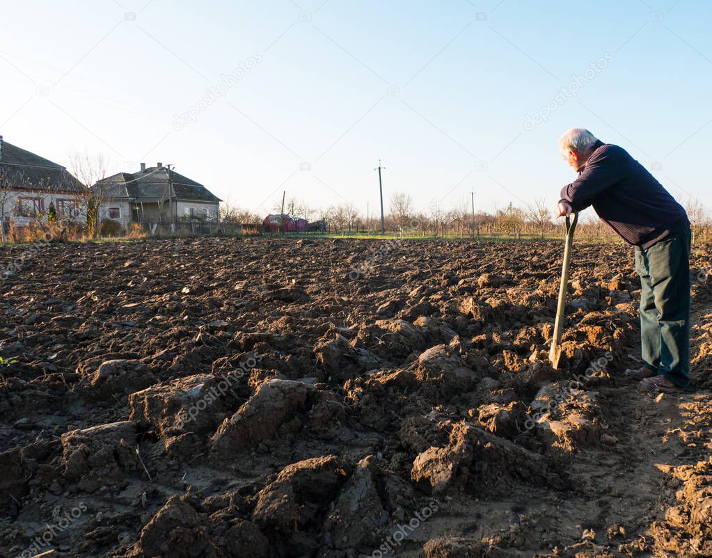 Farmer standing with a shovel on the field. Spring time
