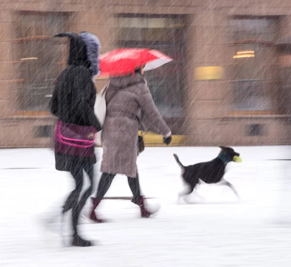 Şehir halkı kışın karlı bir günde cadde boyunca ilerliyorlar. İnt — Stok fotoğraf