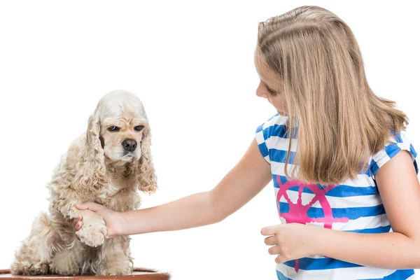 Pretty uśmiechnięta dziewczyna z amerykańskim spaniel pozowanie w studio — Zdjęcie stockowe