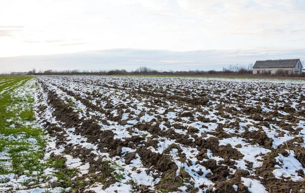 Winter Ploughed Field Blue Sky — Stock Photo, Image