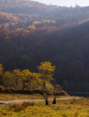 Güneşli bir günde sonbahar dağı manzarası. Ağaçlar sonbaharda yapraklarla kaplanır.