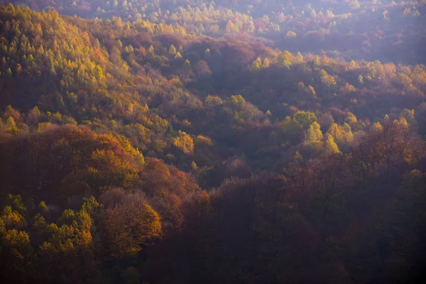 Güneşli bir günde sonbahar dağı manzarası. Ağaçlar sonbaharda yapraklarla kaplanır. — Stok fotoğraf