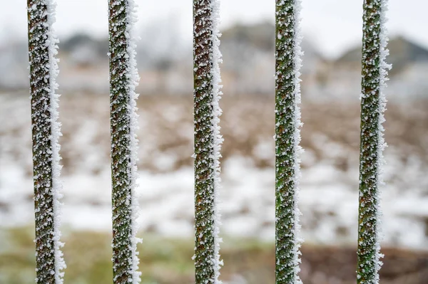 Recinzione coperta di brina in una gelida giornata invernale — Foto Stock