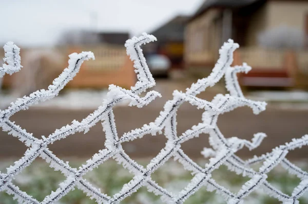 Fence covered with hoarfrost on a frosty winter day — Stock Photo, Image