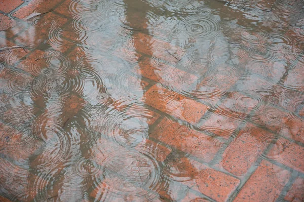 市内で雨 水たまりの上に雨が降る — ストック写真