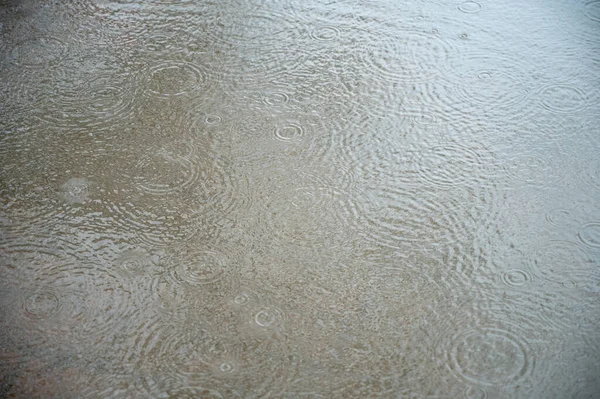 Deszcz Mieście Krople Deszczu Kałużę — Zdjęcie stockowe