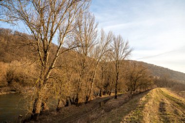 İlkbaharın başlarında nehir manzarası