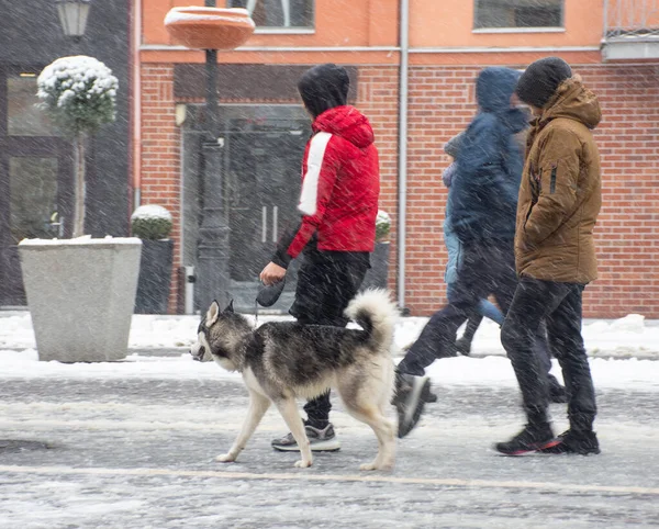 Busy city people going along the street in winter snowy day. Intentional motion blur. Defocused image