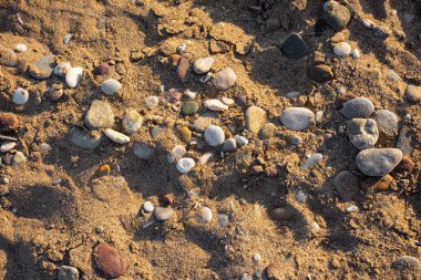 Kum arkaplan dokusu. Kum arkaplanı tasarıma hazır. Kumun üzerinde bir parça deniz taşı