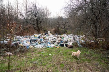Ormanda çöp. İnsanlar yasadışı olarak ormana çöp atıyorlar. Doğadaki yasadışı çöplük. Çevre kirliliği