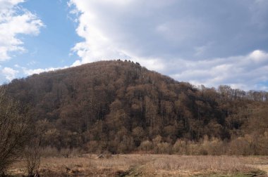 Güneşli bir günde sonbahar dağı manzarası. Yamaçta sonbahar yapraklarında ağaçlar