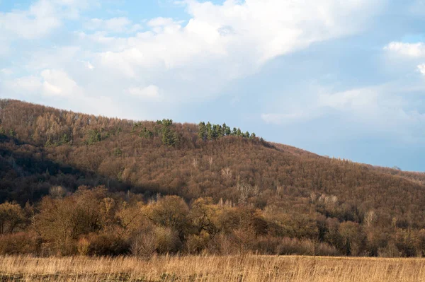 Herfst Berglandschap Zonnige Dag Bomen Herfst Gebladerte Helling — Stockfoto