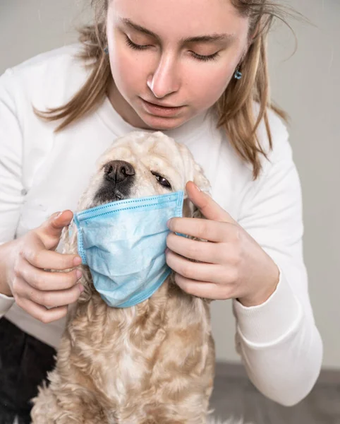 コロナウイルスのパンデミック予防策 ティーン女の子と犬で保護マスクで自宅 — ストック写真