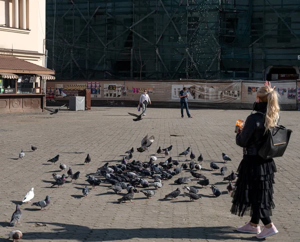 Uzhhorod Ukraine April 2020 Jonge Vrouw Die Duiven Voert Het — Stockfoto