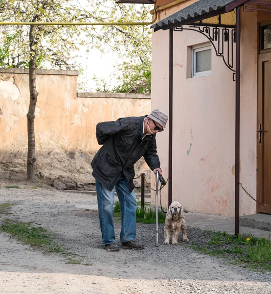 Старший Мужчина Тростью Гуляющий Собакой Солнечный День — стоковое фото