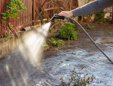 Güneşli bir günde hortumla çimenleri sulayan bir adam.