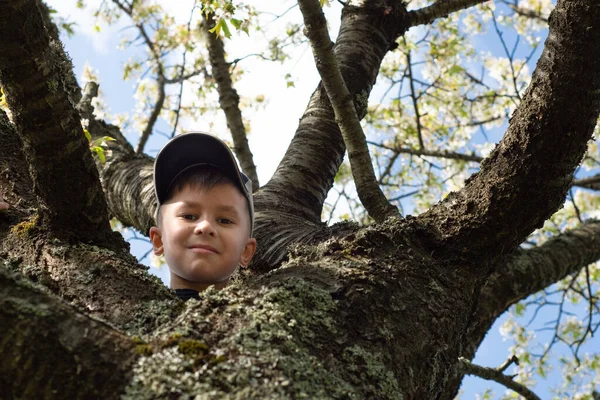 Portret Chłopca Pozującego Drzewie Świeżym Powietrzu — Zdjęcie stockowe