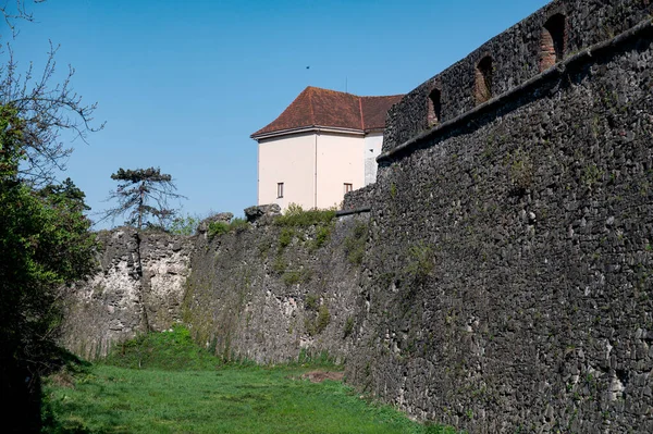 Vista Sul Castello Uzhhorod Ucraina Una Giornata Sole Primaverile — Foto Stock