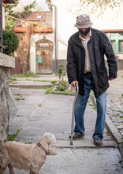 Senior Man Skyddande Mask Med Käpp Promenader Med Hund Solig — Stockfoto