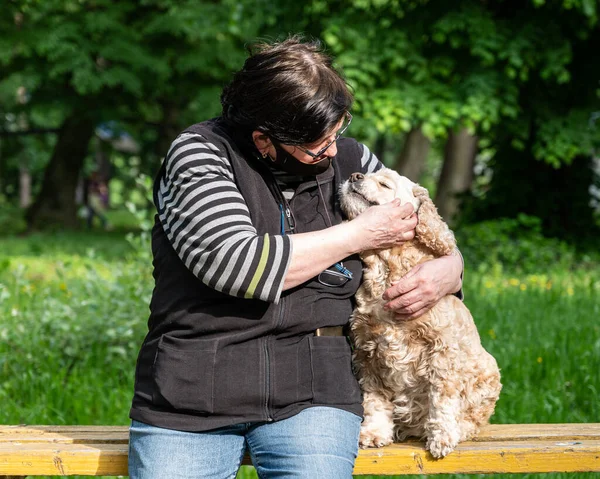 Senior Kvinna Skyddande Ansiktsmask Sitter Bänk Med Hund Parken — Stockfoto