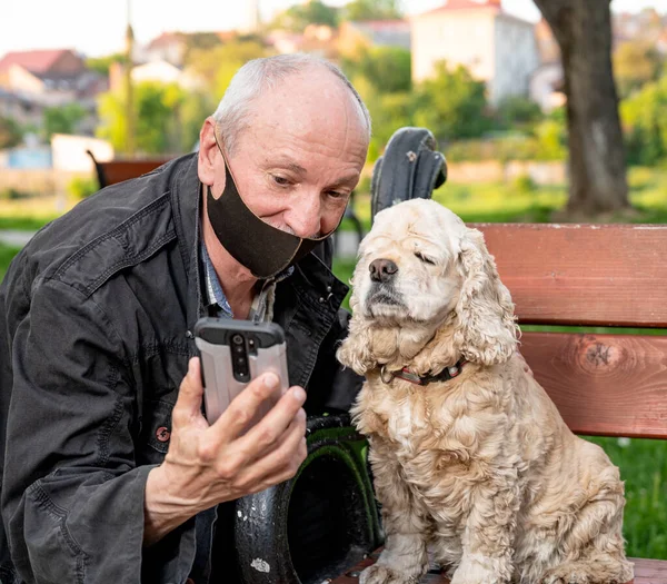 Senior Man Skyddsmask Med Amerikansk Cocker Spaniel Parken — Stockfoto