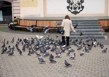 UZHOROD, UKRAINE - 07 Mayıs 2020: Uzhhorod, Ukrayna şehir merkezindeki meydanda güvercinleri besleyen kadın