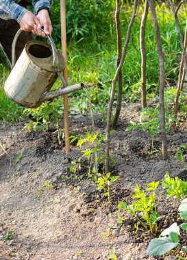 Çiftçilik, bahçıvanlık ve tarım konsepti. Bahçede su bidonu olan adam.