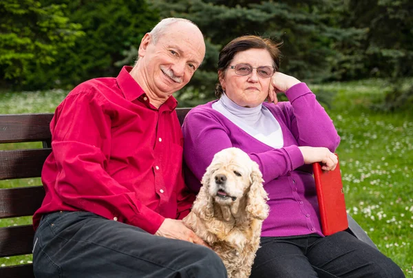 Seniorenpaar Sitzt Auf Bank Und Genießt Den Frühling Park — Stockfoto