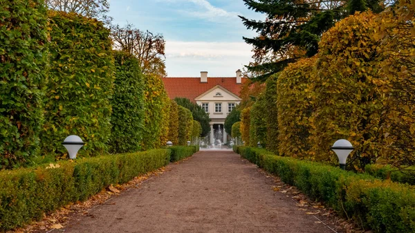 Sonbahar sahne Oliwa parkta sokakta.