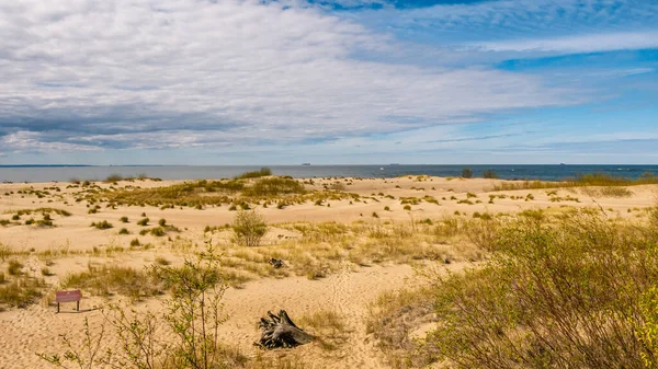 海滩上的沙丘在阳光下 自然保护区 Mewia Acha — 图库照片