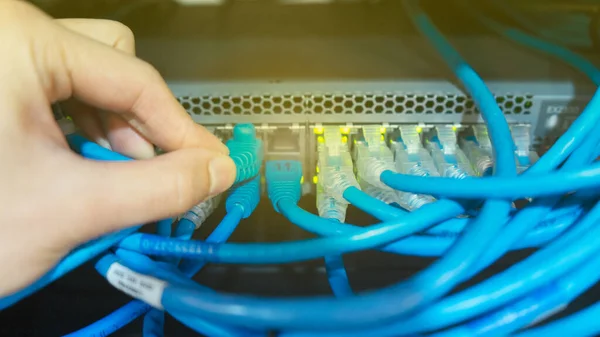 Plug LAN cable or RJ45 into network switch on data center technology a lot of server storage power cable and switch use connecting internet and store data.
