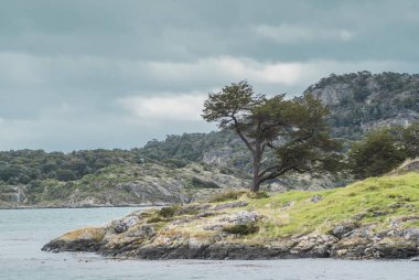 Parque Nacional Tierra del Fuego,Ushuaia
