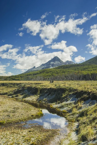 Patagonie, argentine — Photo