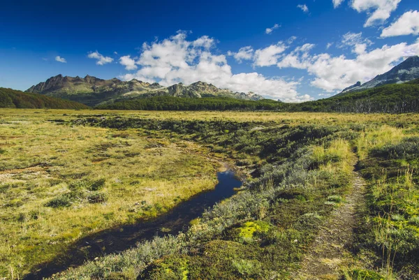 Patagonie, argentine — Photo