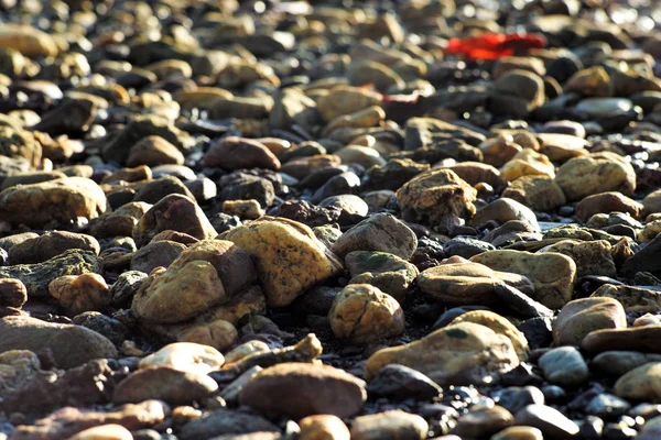Вибірковий акцент на натовпі малих скель на пляжі — стокове фото