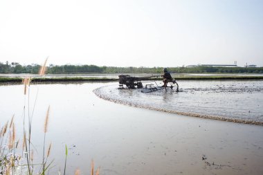 Çiftçi traktörü pirinç tarlasını sürmek için kullanıyor.
