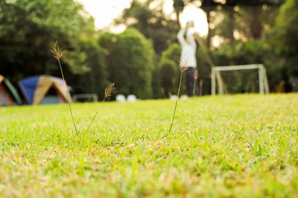 Focus sélectif sur les fleurs d'herbe sur le terrain de pelouse avec une fille floue jouant au football en arrière-plan dans la soirée — Photo