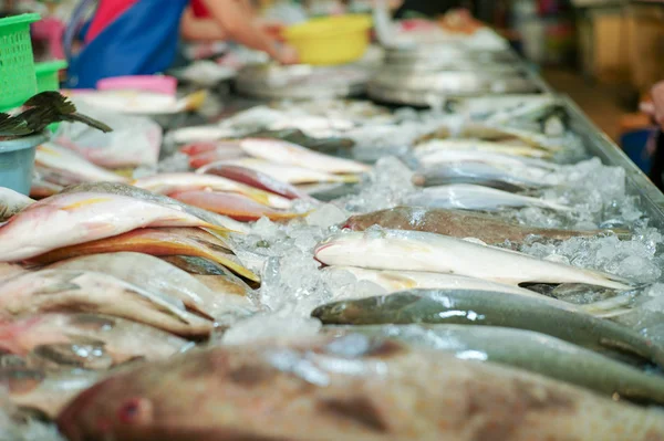 Foco seletivo em peixe fresco cru na bandeja para venda no mercado com vendedor desfocado em segundo plano — Fotografia de Stock