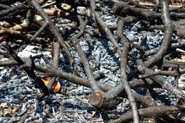Yakından yakılmış odun, yerde de ateşten kül var.