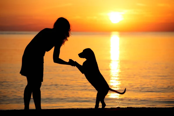 Meisje Hond Silhouetten Bij Zonsondergang Het Strand — Stockfoto