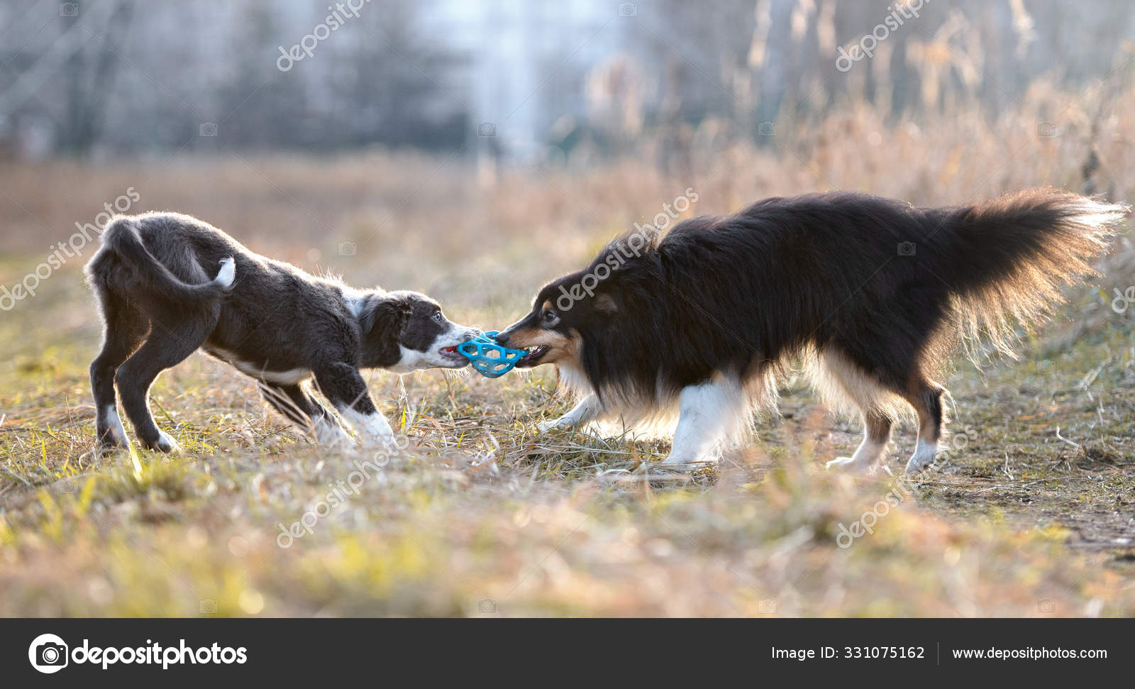 ball tug of war