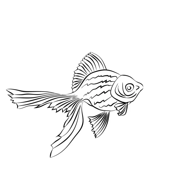 Poisson rouge. Image vectorielle sur fond blanc . — Image vectorielle